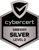 Cybercert Silver logo